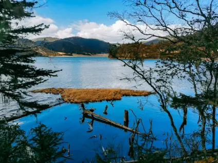 WagonBet Casino Mobil App